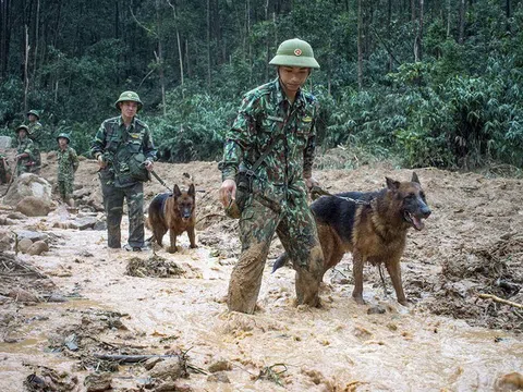 Tập trung tìm kiếm 57 người mất tích ở Thừa Thiên-Huế, Quảng Nam và trên biển